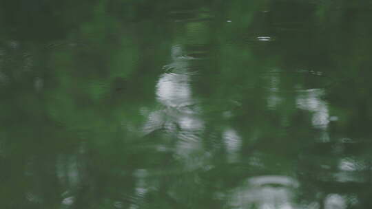 雨景湖面雨滴树林倒影