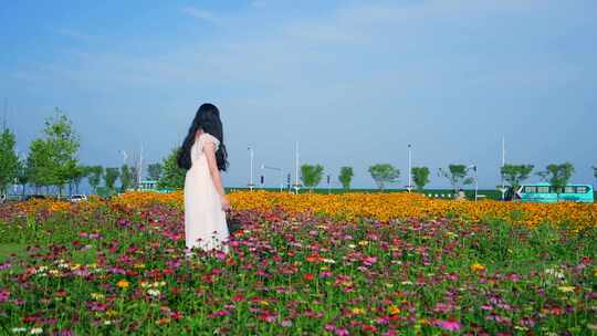 女孩走在花海 感受自然