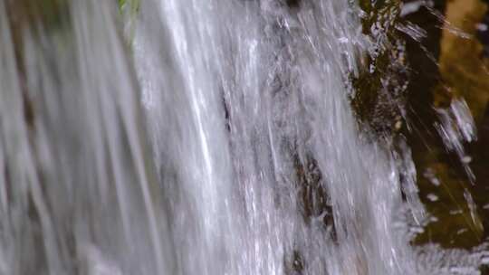 杭州植物园小溪流水风景视频素材