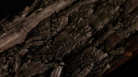 树皮龟裂 木头纹理裂纹视频素材模板下载