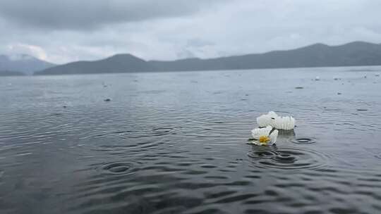 泸沽湖雨中的水性杨花