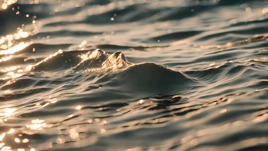 大海海浪