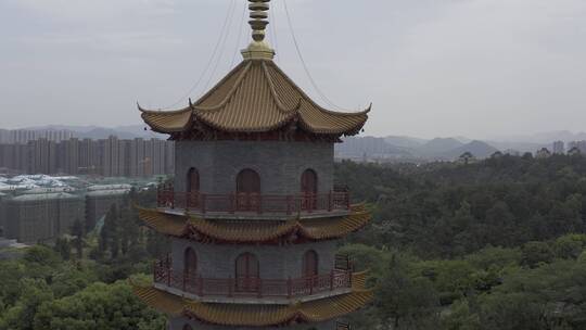 余杭梧桐寺视频素材模板下载