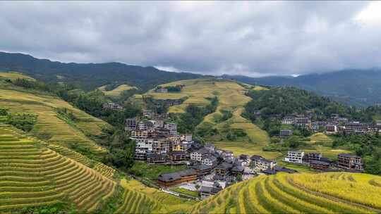 广西桂林龙脊梯田秋天金色稻田乡村延时拍摄