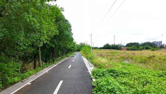 农村道路 行驶在乡间路上 电动车骑行视角