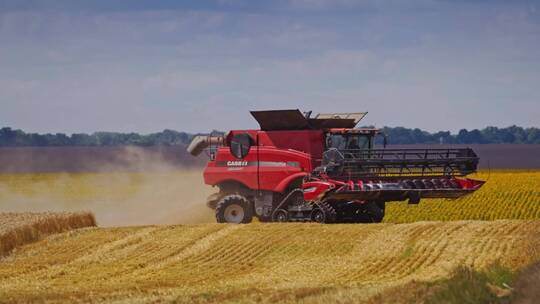 乡村振兴收割机在田里收割小麦