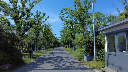 上海崇明区长兴岛郊野公园4K实拍