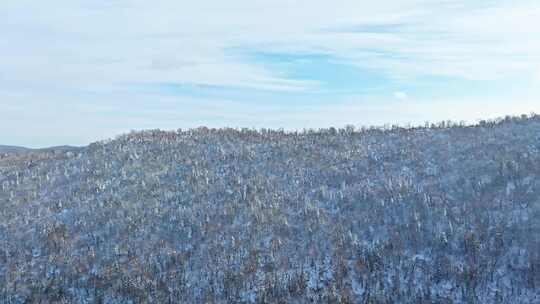 【合集】航拍大兴安岭长白山雪景