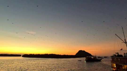 海鸟在游艇上空飞翔巴厘岛日落夕阳晚霞