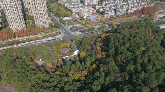 杭州临平区临平山公园秋天景色