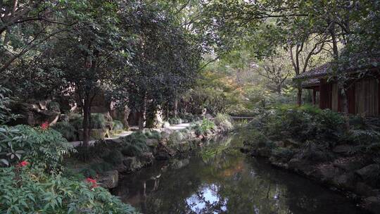 杭州西湖景区曲院风荷风景