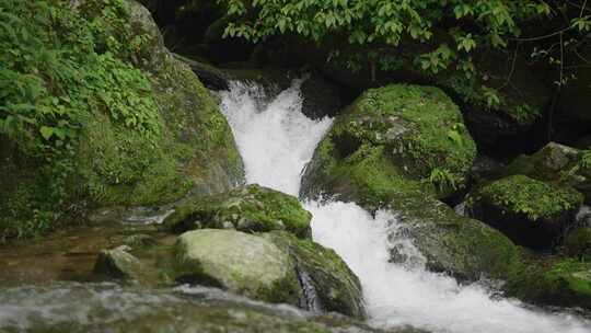 云南南滚河国家级自然保护区山涧小溪1