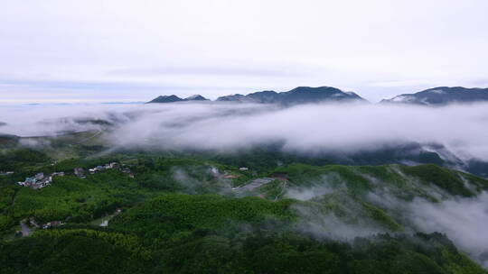 航拍雨后群山上的平流雾 安吉云海