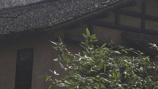 杭州西湖 灵隐寺 园林 森林 山水 庭院 安缦