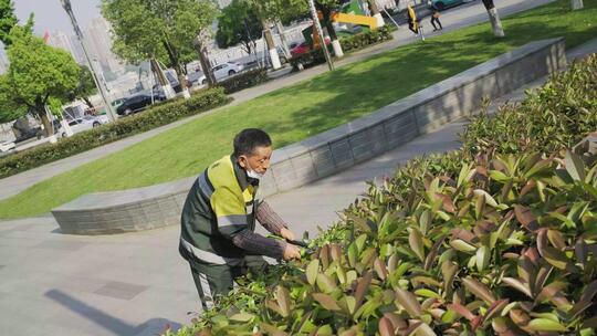 城市绿化工人在修剪树枝