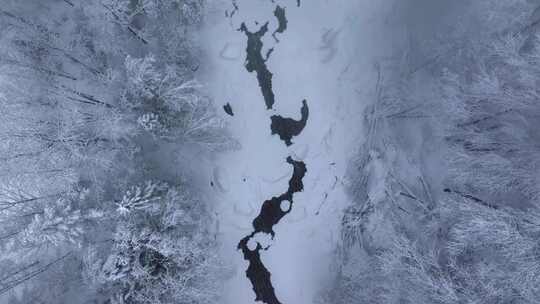 东北冬天长白山寒冷河流不冻河雾凇雪景