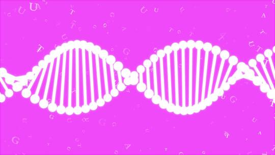 染色体DNA基因链视频