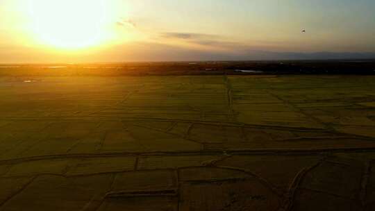 秋天田野黄昏落日-平原夕阳航拍