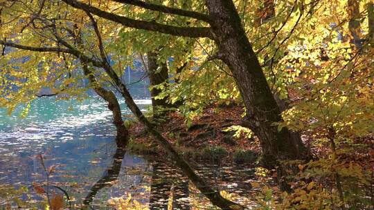 秋天的蓝色湖泊和森林