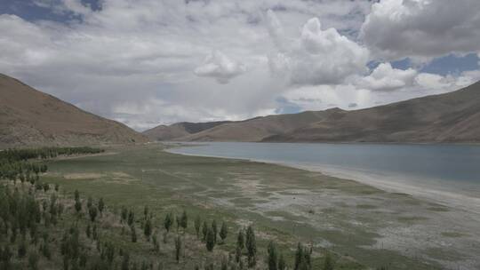 羊卓雍湖 318 自驾 川藏线 西藏景色 Dlog