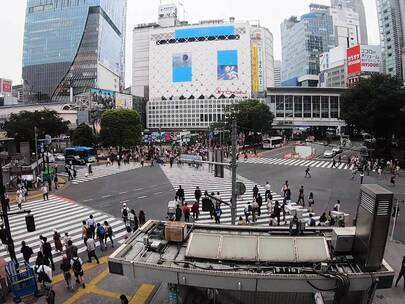 车辆和行人的城市街道延时