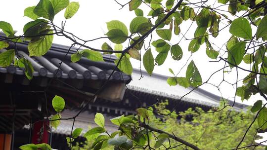 杭州拱墅区香积寺建筑视频