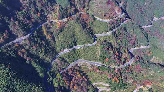 四明山 盘山公路 秋色 秋天 余姚