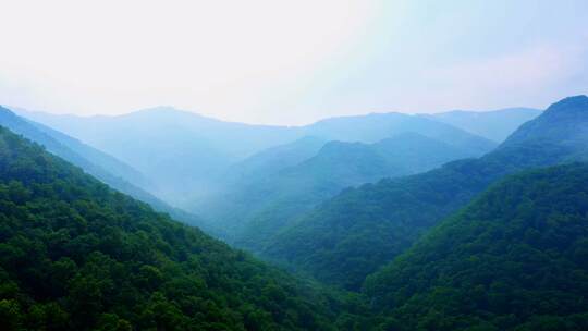 森林 溪流 自然风光
