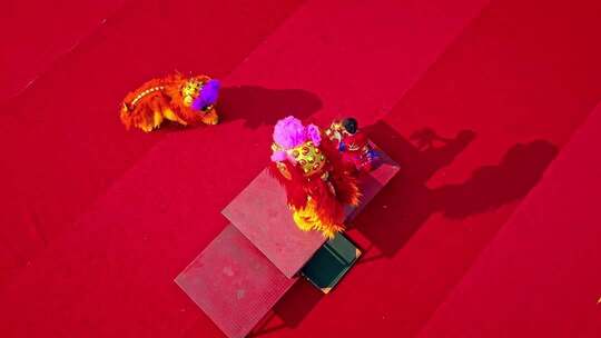 喜庆祥和的舞龙舞狮表演