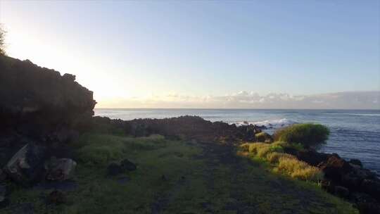 海边岩石草地的自然风景