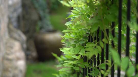 山间民宿户外自然绿色植物清新慢生活
