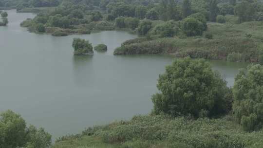 河湖湿地生态美景宣传片美景河湖通用