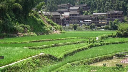 三江侗族程阳八寨古村落田园风光特写 4k