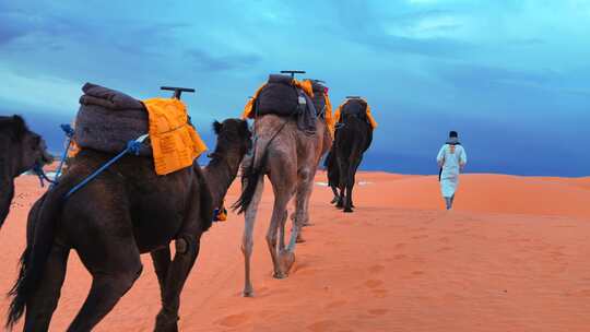 人带领骆驼穿过沙漠