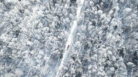 【合集】大兴安岭林海雪原开车