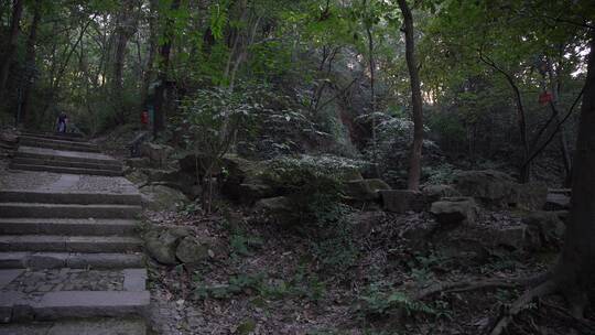 杭州宝石山景区蝙蝠洞