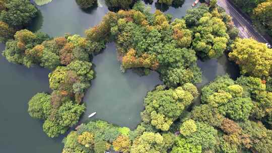 杭州西湖江南湿地小船风景航拍