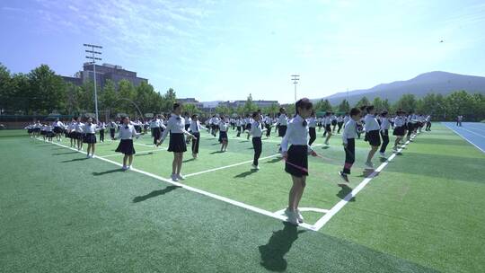 小学学校园生活视频素材模板下载