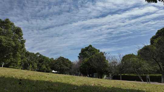 蓝天树林白云风景移动延时摄影高清4K素材