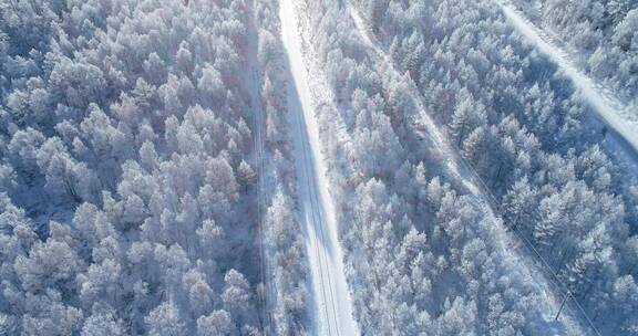 内蒙古大兴安岭冰雪雾凇 童话世界