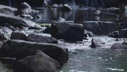 溪水在山石间流动