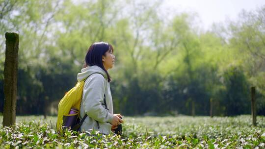 春天年轻女孩郊游茶园手拿相机拍摄美丽景色