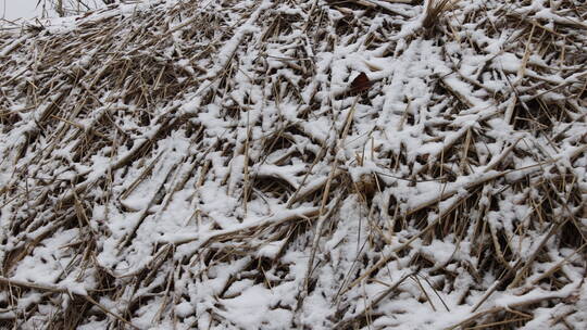 冬雪中的农家草堆