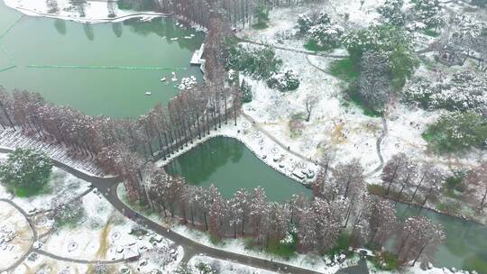 武汉东湖风景区冬季雪景风光视频素材模板下载