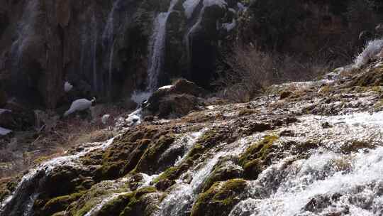 四川阿坝州九寨沟冬日山水