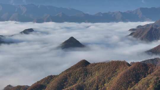 陕西镇安北阳山云海风光航拍