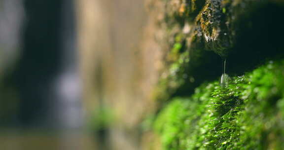 大自然  春天 瀑布 山泉 苔藓 