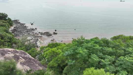 海岸松树林沙滩大海边树林航拍海岸线森林