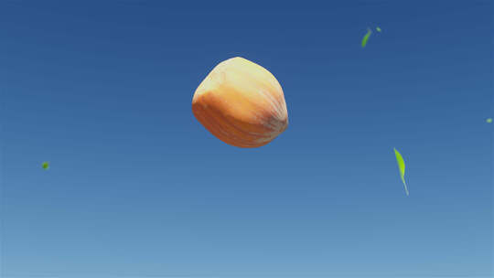 原创4k植物生长发芽