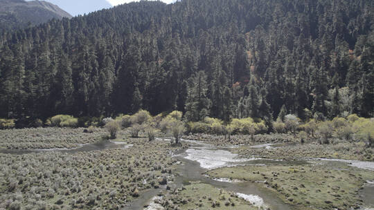 香格里拉高山湖泊15